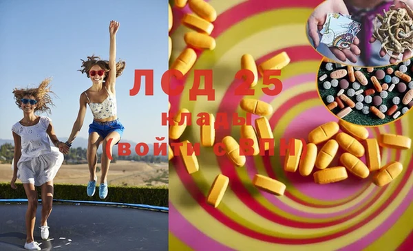 спайс Аркадак