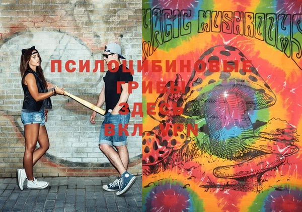 бошки Армянск