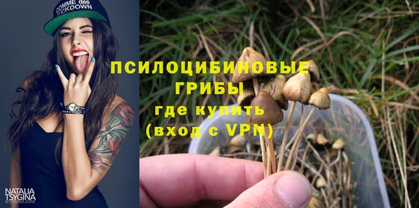 спайс Аркадак